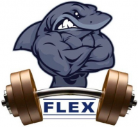 Фитнес клуб «Flex» Фитнес клуб «Flex»